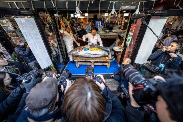 Kiyoshi Kimura (C), president of Kiyomura Corp., the Tokyo-based operator of sushi restaurant chain Sushizanmai, displays a 243-kilogram bluefin tuna at his main restaurant in Tokyo on January 5, 2026, after the New Year's auction at Toyosu fish market. A Japanese sushi entrepreneur paid a record $3.2 million for a giant bluefin tuna January 5 at an annual prestigious new year auction in Tokyo's main fish market, smashing the previous all-time high. (Photo by Yuichi YAMAZAKI / AFP)