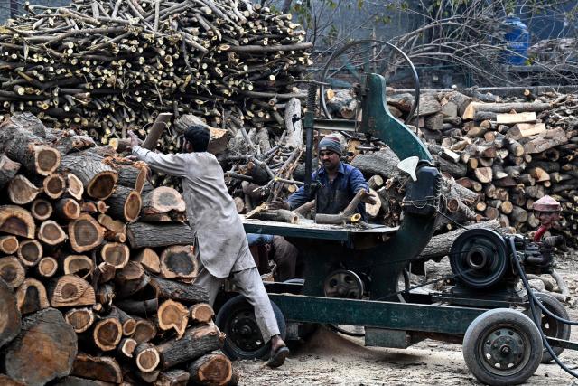 Workers saw logs of wood at a timber market in Lahore on January 5, 2026. (Photo by Arif ALI / AFP)