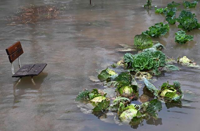 This photograph shows a flooded garden following heavy rain in southern-Bosnian town of Blagaj on January 6, 2026. Snow and heavy rains sparked power failures and flooding in parts of the Balkans, authorities said on January 6, 2026, with one woman dead in a weather-related accident in Bosnia. (Photo by ELVIS BARUKCIC / AFP)