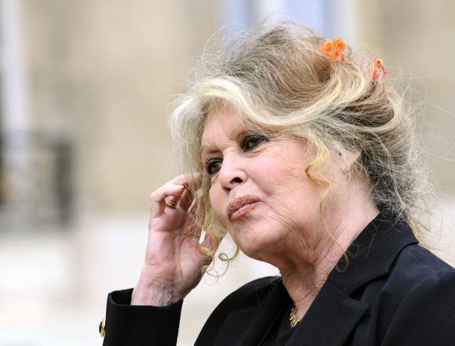 (FILES) French actress and animal rights activist Brigitte Bardot leaves the Elysee Palace in Paris after a meeting with French president Nicolas Sarkozy, on September 27, 2007. The funeral of French actress Brigitte Bardot, who died at 91 on December 28, 2025, will take place in Saint-Tropez on January 7, 2026. (Photo by Eric Feferberg / AFP)