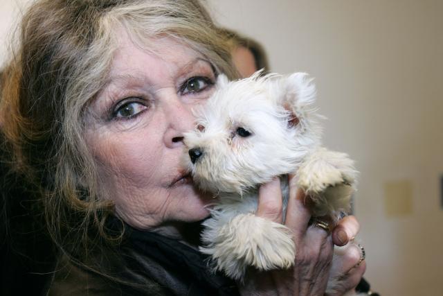 (FILES) French actress and animal rights activist Brigitte Bardot in a dog pound in Nice (southern France), holding one of 143 puppies seized by customs officiers in a Hungarian van, on December 28, 2005. The funeral of French actress Brigitte Bardot, who died at 91 on December 28, 2025, will take place in Saint-Tropez on January 7, 2026. (Photo by Valery HACHE / AFP)