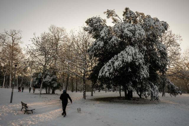 A man walks his dog past a snow-covered tree in a park in La Rochelle, western France, on January 6, 2026, following rare and heavy snowfall in the Atlantic coastal region. (Photo by Philippe LOPEZ / AFP)