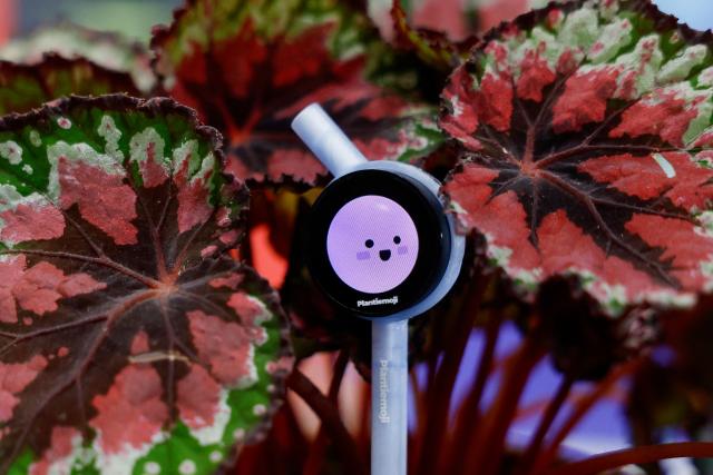 Plantalk’s Plantiemoji prototypes, smart sensors that monitors a plant's environment and communicates its status through expressive emojis, are on display at the annual Consumer Electronics Show (CES) in Las Vegas, Nevada, on January 6, 2026. (Photo by Caroline Brehman / AFP)