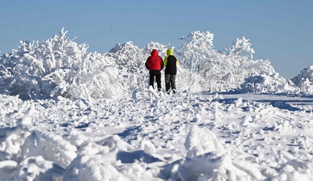 People walk through the landscape covered in frost and snow on the Hornisgrinde mountain near Seebach in the Northern Black Forest, southern Germany, during a cold and sunny day on January 7, 2026. (Photo by THOMAS KIENZLE / AFP)