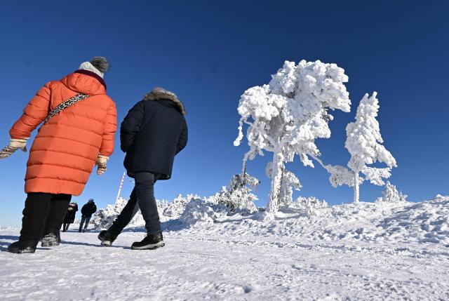 People walk through the landscape covered in frost and snow on the Hornisgrinde mountain near Seebach in the Northern Black Forest, southern Germany, during a cold and sunny day on January 7, 2026. (Photo by THOMAS KIENZLE / AFP)