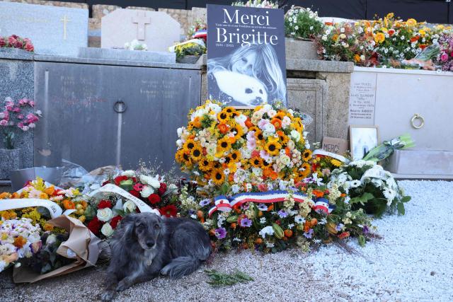 A dog sits among wreath of flowers and photographs of late French actress Brigitte Bardot placed around her grave at the marine cemetery, following the funeral ceremony at Notre-Dame de l'Assomption church, in Saint-Tropez, southeastern France, on January 7, 2026. (Photo by Valery HACHE / AFP)