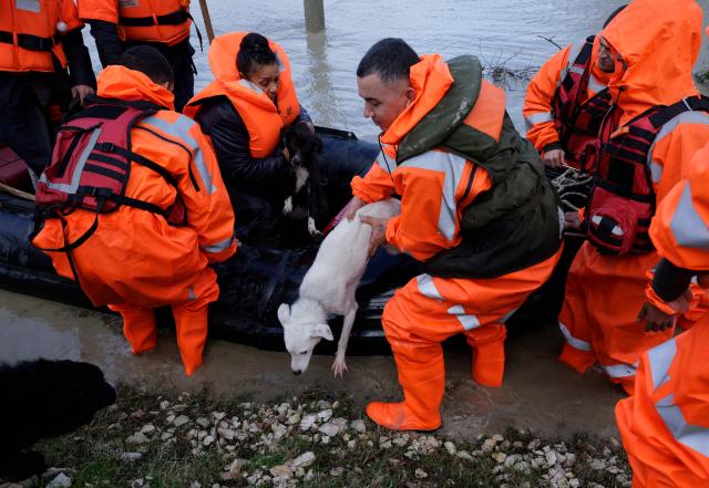A woman sits with her dogs on a lifeboat during their evacuation by members of the Civil Emergencies near the Vjosa River in the village of Novosele, near Vlore on January 8, 2026. Heavy rainfall in recent days has caused major flooding in cities, rivers overflowing their banks, and blockages on national roads across Albania. (Photo by Adnan Beci / AFP)