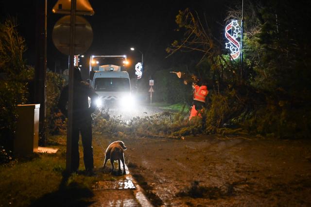 Workers clear a road from fallen trees after the passing of the Storm Goretti in Banville, northwestern France on January 9, 2025. Around 380,000 households in France were without power on Friday morning as Storm Goretti swept through northern Europe with fierce winds. The vast majority of the affected households were in the northern Normandy region, the Enedis power provider said in a statement, with residents also affected in Brittany, Picardy and the Ile-de-France regions. (Photo by Lou BENOIST / AFP)