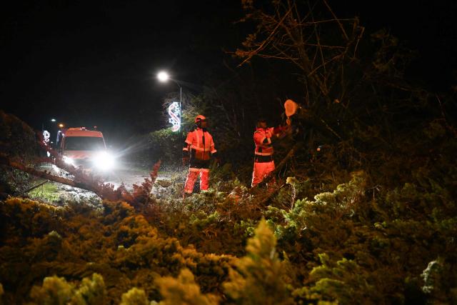 Workers clear a road from fallen trees after the passing of the Storm Goretti in Banville, northwestern France on January 9, 2025. Around 380,000 households in France were without power on Friday morning as Storm Goretti swept through northern Europe with fierce winds. The vast majority of the affected households were in the northern Normandy region, the Enedis power provider said in a statement, with residents also affected in Brittany, Picardy and the Ile-de-France regions. (Photo by Lou BENOIST / AFP)