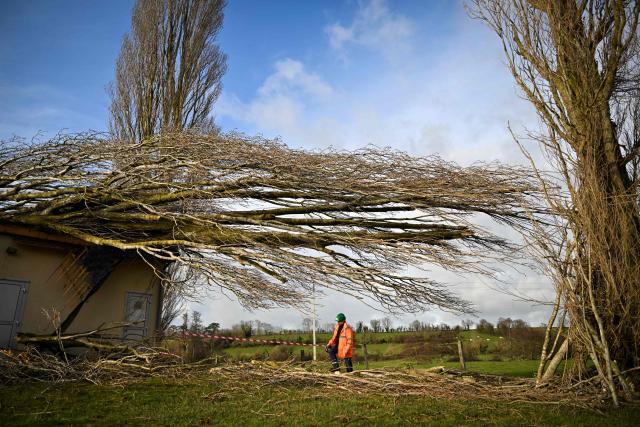 A worker secures the area around a fallen tree on a water borehole, following the passage of the storm Goretti, in Saint-Gabriel-Brecy, near Martragny, northwestern France. Storm Goretti was a major weather depression that struck France between Thursday, January 8, 2026, and Friday, January 9, 2026. It was described as a "weather bomb" due to its explosive development, with a rapid drop in pressure of approximately 40 hPa in less than 24 hours. (Photo by Lou BENOIST / AFP)