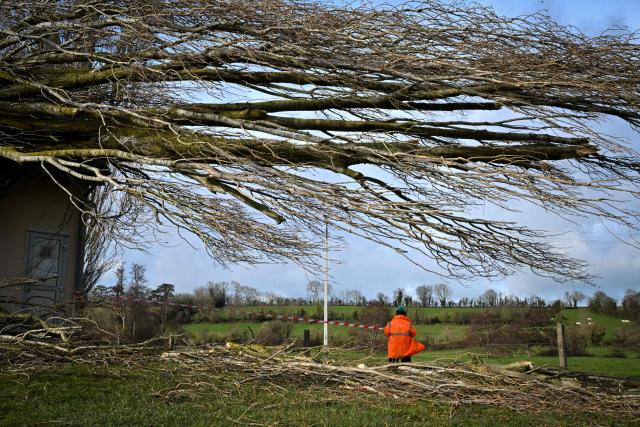 TOPSHOT - A photograph taken on January 9, 2026 shows a fallen tree on a cabin, following the passage of the storm Goretti, in Saint-Gabriel-Brecy, near Martragny, northwestern France. Storm Goretti was a major weather depression that struck France between Thursday, January 8, 2026, and Friday, January 9, 2026. It was described as a "weather bomb" due to its explosive development, with a rapid drop in pressure of approximately 40 hPa in less than 24 hours. (Photo by Lou BENOIST / AFP)