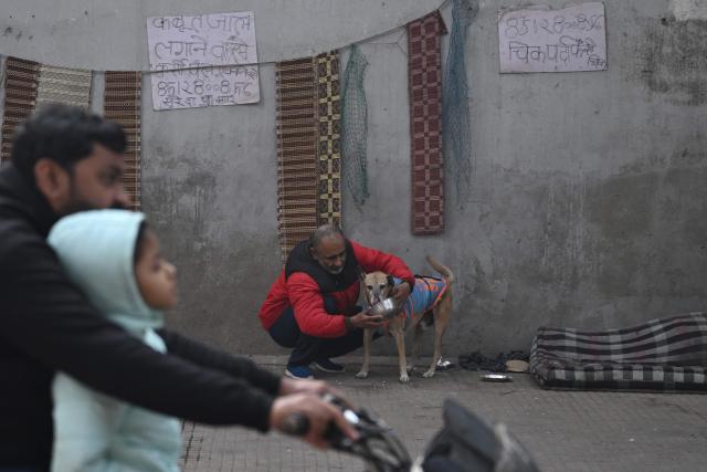 A man feeds a stray dog along a road on a cold winter morning in New Delhi on January 10, 2026. (Photo by Arun SANKAR / AFP)