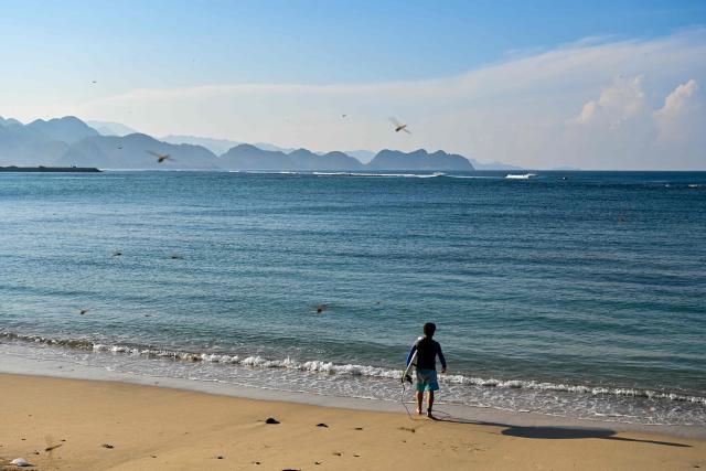 A swarm of dragonflies is pictured as a surfer heads into the water to catch some waves in Lhoknga beach, Indonesia's Aceh province on January 12, 2026. (Photo by CHAIDEER MAHYUDDIN / AFP)
