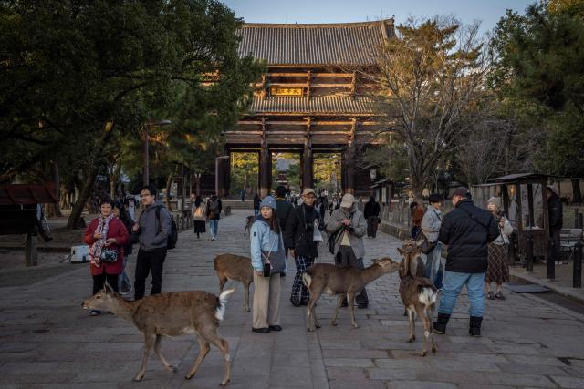 Tourists walks past deer at Todaiji temple in Nara on January 13, 2026. (Photo by Yuichi YAMAZAKI / AFP)