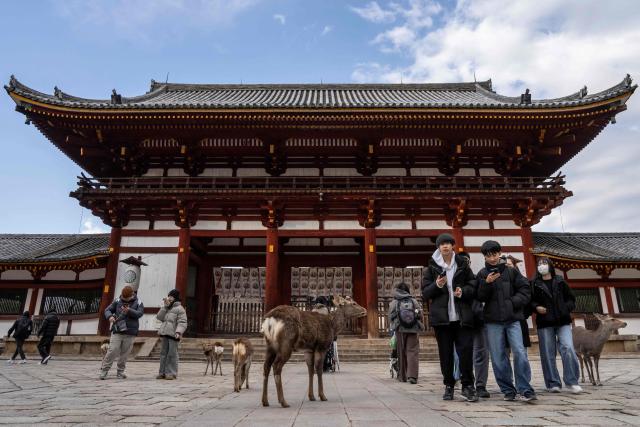 Tourists walk past deers at Todaiji Temple in Nara on January 13, 2026. (Photo by Yuichi YAMAZAKI / AFP)
