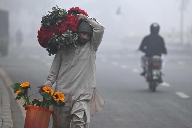 A vendor carries flowers along a street amid dense fog on a cold winter morning in Lahore on January 14, 2026. (Photo by Arif ALI / AFP)