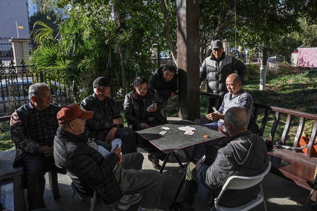 People play cards at a park in Hangzhou, in eastern China's Zhejiang province on January 14, 2026. (Photo by Jade GAO / AFP)