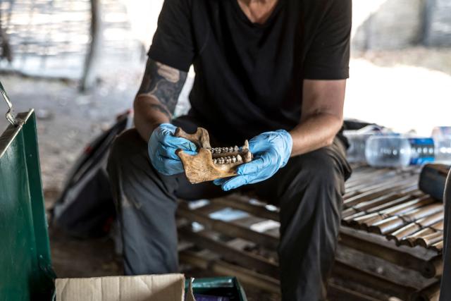 Primatologist and director of the Fongoli Savanna Chimpanzee Project Dr. Jill Pruetz holds the jaw of a West African chimpanzee at the research center on the Fongoli home range in the Kedougou region, on December 10, 2025. The group of rare chimpanzees, who dwell in the bush of hot, southeast Senegal instead of the forest, are living on the extreme edge of what is possible for their species.
Their unusual lives offer clues as to humans' own evolutionary past as we migrated to new climates, while their adaptations to the heat feel timely in a world where temperatures are on the rise. (Photo by PATRICK MEINHARDT / AFP)