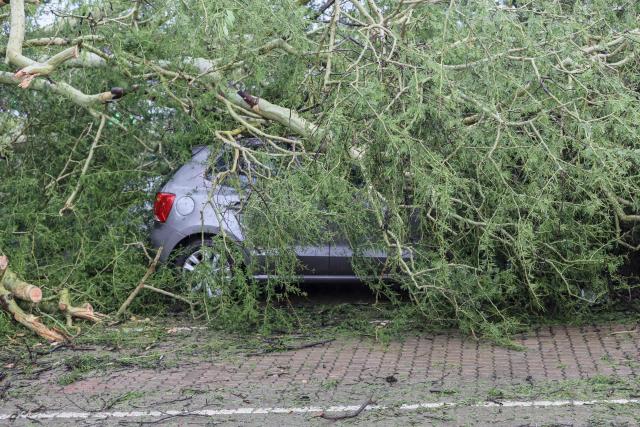 A general view of a tree that fell on a car following torrential rains in Giyani on January 12, 2026. Flooding triggered by torrential rains in northeastern South Africa claimed at least 10 lives overnight and forced the closure of the iconic Kruger National Park, officials said on January 15, 2026. 
The weather service issued the maximum warning for more rain in parts of the country while neighbouring Mozambique was also on alert after flooding that inundated roads and homes. (Photo by Orlando Chauke / AFP)