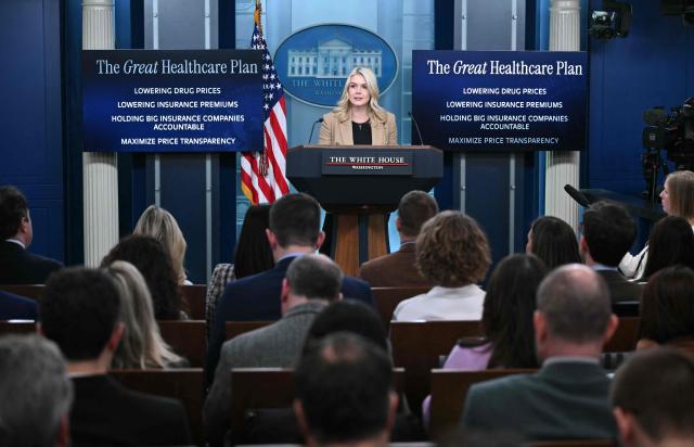 White House Press Secretary Karoline Leavitt speaks during a press briefing in the Brady Briefing Room of the White House in Washington, DC, on January 15, 2026. (Photo by Mandel NGAN / AFP)