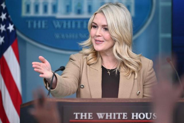 White House Press Secretary Karoline Leavitt speaks during a press briefing in the Brady Briefing Room of the White House in Washington, DC, on January 15, 2026. (Photo by Mandel NGAN / AFP)