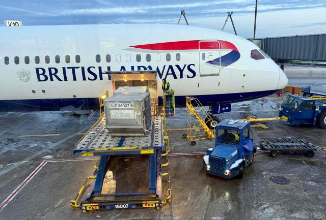 A British Airways Boeing 787 Dreamliner is serviced at a gate of Chicago O'Hare International Airport in the northwest side of Chicago, Illinois on January 15, 2026. (Photo by Daniel SLIM / AFP)