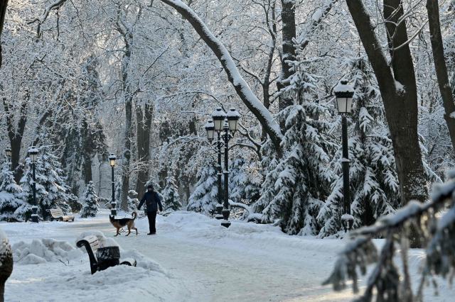 A man walks his dog in a park in Kyiv during heavy frost on January 16, 2026 amid the Russian invasion of Ukraine. (Photo by Sergei SUPINSKY / AFP)