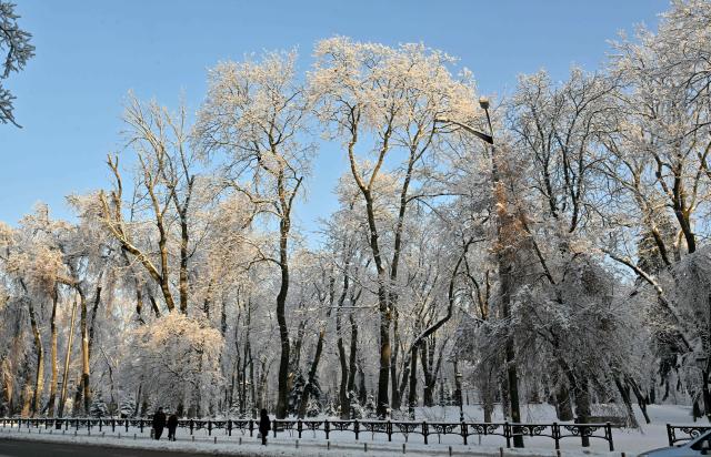 Pedestrians walk along a park covered in snow during heavy frost in Kyiv on January 16, 2026, amid the Russian invasion of Ukraine. (Photo by Sergei SUPINSKY / AFP)