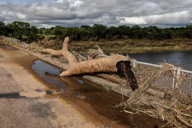 A tree trunk rests on the bridge crossing the Ga-Selati River, just outside Phalaborwa on January 16, 2026 following heavy rains over much of the Limpopo Province, South Africa. Heavy rains have drenched the northeast of the country since late last year, claiming at least 30 lives, with the region on maximum alert for more rain in the coming days. (Photo by Paul Botes / AFP)