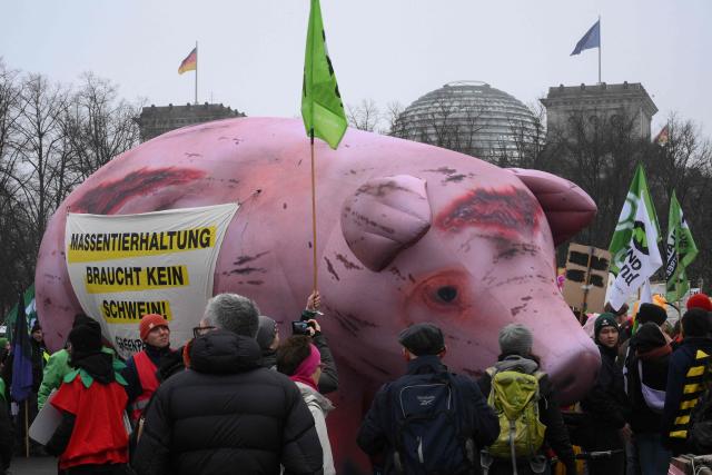 Protesters against factory farming with a giant pig take part in a demonstration titled "We are fed up!" and demanding a socially just agricultural transition, in Berlin on January 17, 2026. (Photo by RALF HIRSCHBERGER / AFP)