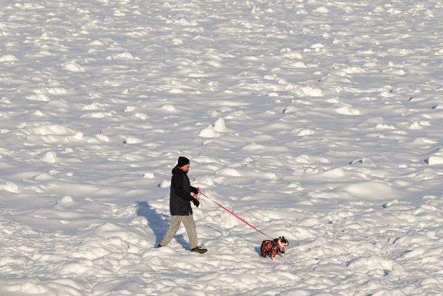 A man walks his dog on the frozen Kyiv Reservoir located on the Dnieper north of Kyiv, also known as the Kyiv Sea, in Vyshgorod on January 17, 2026, amid the Russian invasion of Ukraine. (Photo by Sergei GAPON / AFP)