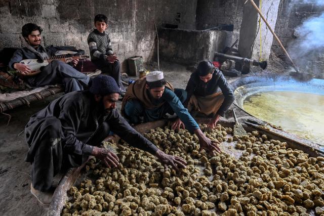 Workers sort freshly prepared jaggery, processed from sugarcane extract on the outskirts of Peshawar on January 18, 2026. (Photo by Abdul MAJEED / AFP)