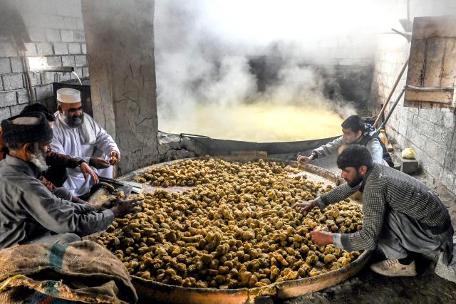 Workers sort freshly prepared jaggery, processed from sugarcane extract on the outskirts of Peshawar on January 18, 2026. (Photo by Abdul MAJEED / AFP)