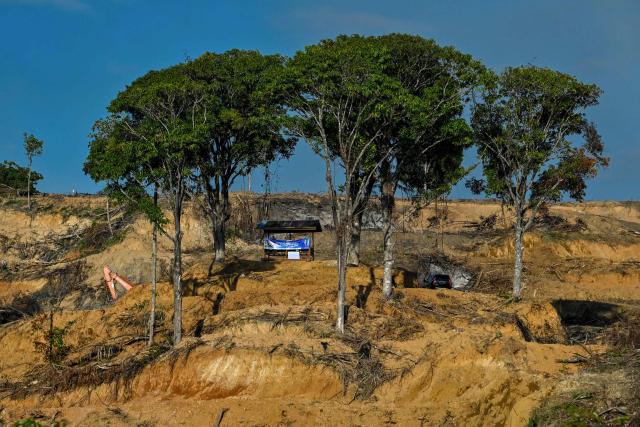 This photo shows a general view of a bulldozed new planting area for palm oil plantations in Lamno, Indonesia's Aceh province on January 18, 2026. (Photo by CHAIDEER MAHYUDDIN / AFP)