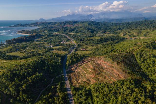 This aerial photo shows a general view of a new planting area for palm oil plantations in Lamno, Indonesia's Aceh province on January 18, 2026. (Photo by CHAIDEER MAHYUDDIN / AFP)