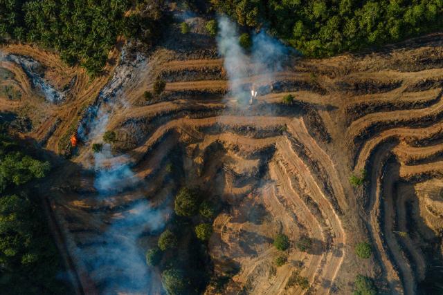 Smoke rises during the deforestation of a new planting area for palm oil plantations in Lamno, Indonesia's Aceh province on January 18, 2026. (Photo by CHAIDEER MAHYUDDIN / AFP)