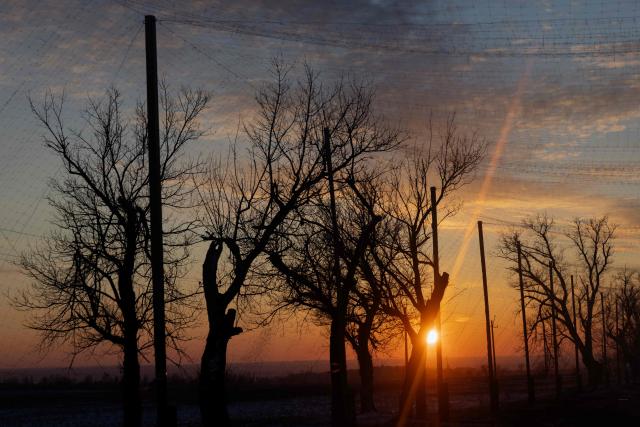 This photograph shows the sun setting through anti-drone netting at an undisclosed location in eastern Ukraine on January 19, 2026, amid the Russian invasion of Ukraine. (Photo by Tetiana DZHAFAROVA / AFP)