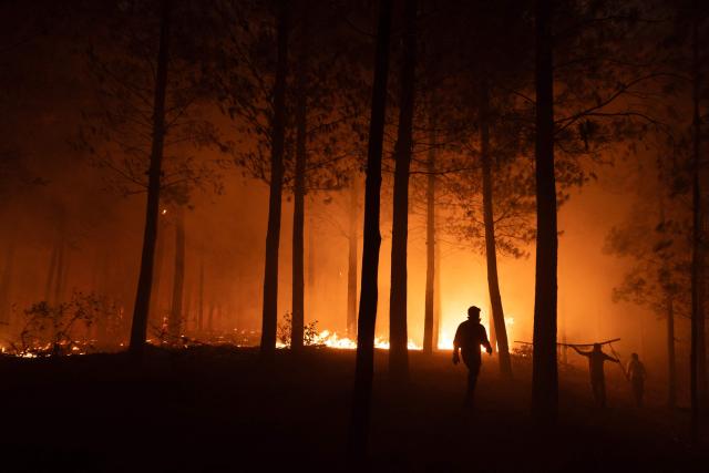 Residents organize to try to extinguish burning vegetation during a wildfire in the town of Florida near the city of Concepción, Chile, on January 19, 2026. Wildfires that have killed 19 people in southern Chile and wiped out entire towns, raged for a third day on January 19, fanned by high temperatures and strong winds at the height of the southern hemisphere summer. (Photo by Raul BRAVO / AFP)