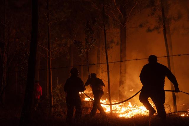 Firefighters try to extinguish burning vegetation during a wildfire in the town of Florida near the city of Concepción, Chile, on January 19, 2026. Wildfires that have killed 19 people in southern Chile and wiped out entire towns, raged for a third day on January 19, fanned by high temperatures and strong winds at the height of the southern hemisphere summer. (Photo by Raul BRAVO / AFP)