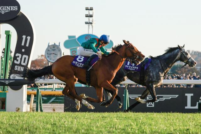 (FILES) Calandagan (front), ridden by Mickael Barzalona, crosses the finish in the Japan Cup horse racing at Tokyo Racecourse on November 30, 2025. French-trained Calandagan was awarded the World's best racing horses during the JDG Awards 2025. (Photo by JIJI Press / AFP) / Japan OUT