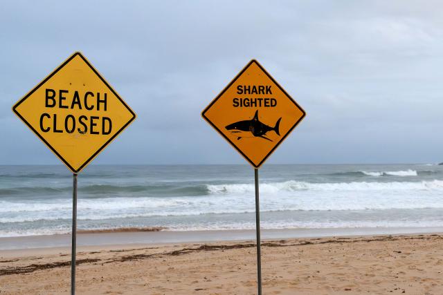 Signs for the temporary closure of a beach due to the sighting of sharks are seen on North Steyne Beach in Manly, in Sydney, New South Wales on January 19, 2026. A shark bit a surfer on January 20 in an Australian state's fourth attack recorded over the past 48 hours, authorities said. (Photo by Steven Markham / AFP)