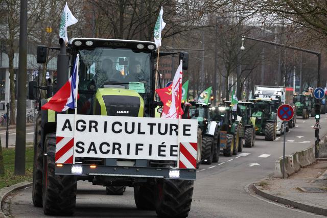 A placard reads "sacrificed agriculture" as European farmers gather outside the European Parliamen to protest against the free trade agreement between the European Union and the Mercosur countries, on the eve of a vote on a referral to the courts, in Strasbourg on January 20, 2026. Called by the FNSEA, France's leading national agricultural union, some 4,000 farmers from across the European Union, including Italy, Belgium, and Germany, are expected to attend the protest. MEPs will not vote on the entire agreement with Mercosur until the coming months, but they are set to vote on Wednesday on whether to refer the matter to the Court of Justice of the European Union (CJEU). (Photo by FREDERICK FLORIN / AFP)