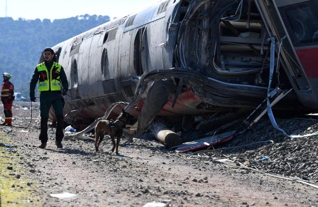 TOPSHOT - An emergency services member works with a dog on the site of a high-speed trains collision that killed at least 41 people, in Adamuz, southern Spain, on January 20, 2026. At least 41 people died and more than 120 injured in the deadliest train accident in Spain in over a decade. The crash happened on January 18 evening when a train operated by rail company Iryo travelling from Malaga to Madrid derailed near Adamuz, crossing onto the other track where it crashed into an oncoming train, which also derailed. (Photo by CRISTINA QUICLER / AFP)