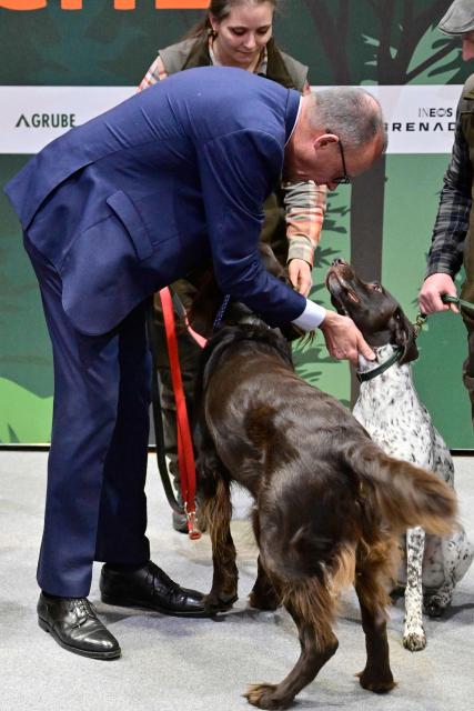German Chancellor Friedrich Merz pets some hunting dogs as he tours the "Gruene Woche" (Green Week) International Agriculture Fair in Berlin on January 20, 2026. The 100th edition of the Green Week, one of the world's leading events in the food, agriculture and horticulture sectors, will be running from January 16 to 25, 2026, and some 1600 exhibitors from over 50 countries are presenting their products and services. (Photo by John MACDOUGALL / AFP)
