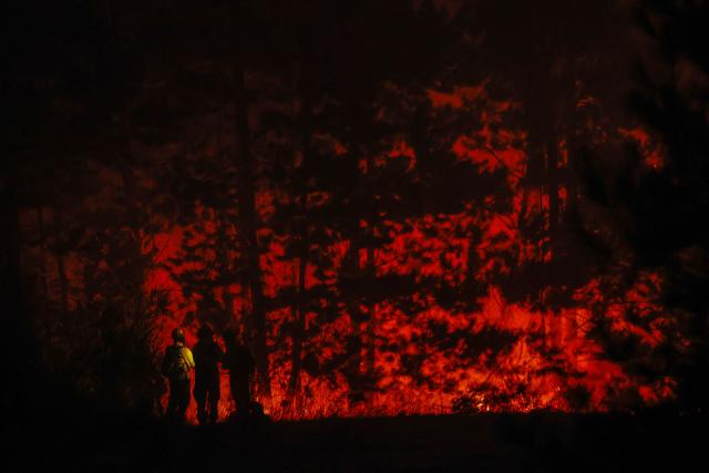 Firefighters work to extinguish burning vegetation during a wildfire in the town of Florida near the city of Concepción, Chile, on January 20, 2026. Residents of southern Chile, ravaged by four days of deadly wildfires, pleaded for help on January 20 from communities reduced to rubble, as smoke lingered and firefighters braced for the return of hot weather. (Photo by Raul BRAVO / AFP)