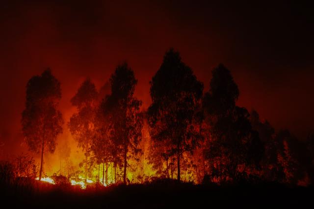 Flames and burning vegetation are seen during a wildfire in the town of Florida near the city of Concepción, Chile, on January 20, 2026. Residents of southern Chile, ravaged by four days of deadly wildfires, pleaded for help on January 20 from communities reduced to rubble, as smoke lingered and firefighters braced for the return of hot weather. (Photo by Raul BRAVO / AFP)