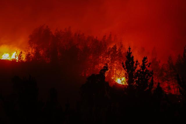 Flames and burning vegetation are seen during a wildfire in the town of Florida near the city of Concepción, Chile, on January 20, 2026. Residents of southern Chile, ravaged by four days of deadly wildfires, pleaded for help on January 20 from communities reduced to rubble, as smoke lingered and firefighters braced for the return of hot weather. (Photo by Raul BRAVO / AFP)