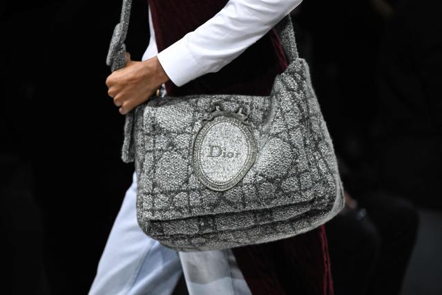 A model presents a creation by Dior for the Menswear Ready-to-wear Fall-Winter 2026/2027 collection as part of the Men Paris Fashion Week in Paris on January 21, 2026.  (Photo by Blanca CRUZ / AFP)