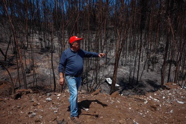 Jorge Cuadra shows a burnt area after the devastating forest fires that ravaged the region on January 3, in Punta de Parra, near Concepcion, Chile, on January 21, 2026. Police in south-central Chile have arrested a man on suspicion of starting one of the recent wildfires that killed 20 people and razed entire neighborhoods, the government said on January 21. (Photo by Raul BRAVO / AFP)