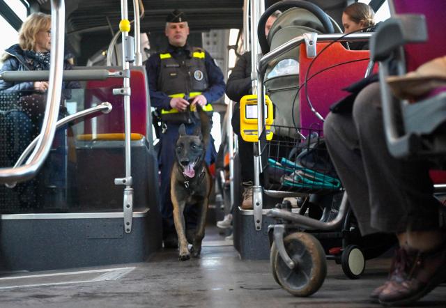 A French Gendarmerie dog handler and his Malinois dog take part in a drug control operation on a bus in Vezin-Le-Coquet, suburb of Rennes, western France on January 22, 2026. (Photo by Damien MEYER / AFP)